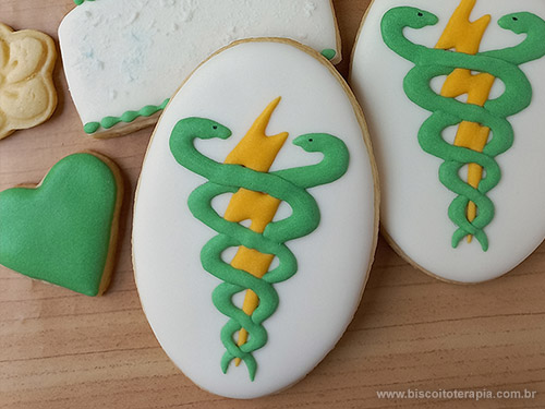 Biscoitos Decorados para o Anivers�rio da Fisioterapeuta