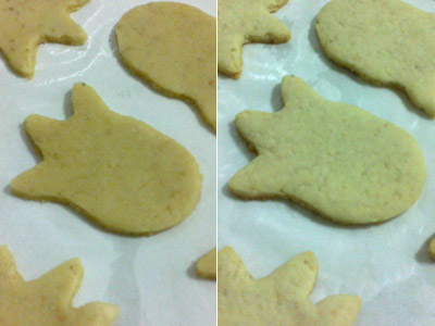 Biscoitos Decorados de Corujas Biscoitos Decorados de Corujas
