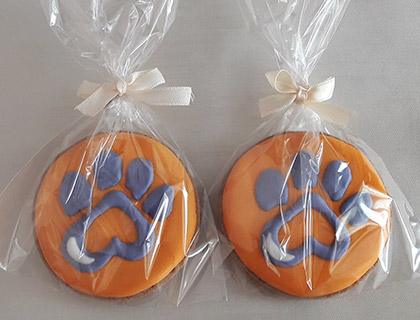 Biscoitos Decorados Dog Wellness