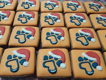 Biscoitos Decorados de Natal na Dog Wellness