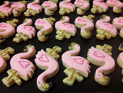 Biscoitos Decorados de Flamingos Biscoitos Decorados de Flamingos