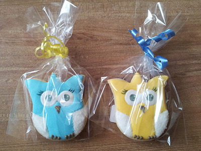 Biscoitos Decorados de Mini Corujinhas