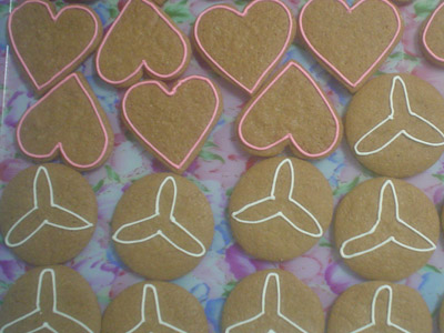 Biscoitos Decorados de Orqudeas