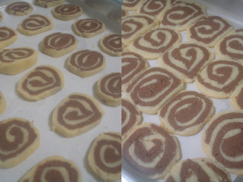 Biscoitos Bicolores Biscoitos Bicolores