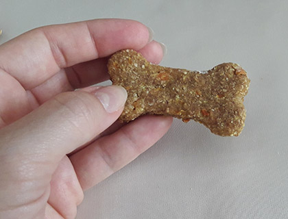 Biscoitos Caninos de Cenoura e Banana Biscoitos Caninos de Cenoura e Banana
