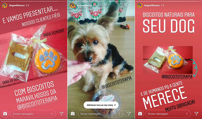 Biscoitos Caninos de Cenoura e Banana Biscoitos Caninos de Cenoura e Banana
