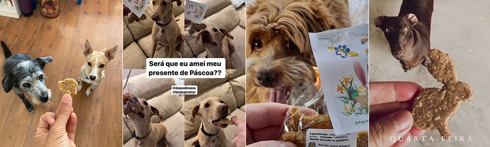 Biscoitos Caninos de Maçã e Mel Biscoitos Caninos de Maçã e Mel