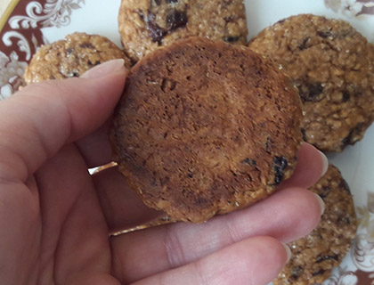 Biscoitos de Aveia e Mel com Ameixa