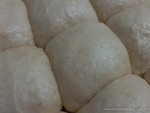 Cheese Dinner Roll Cheese Dinner Roll
